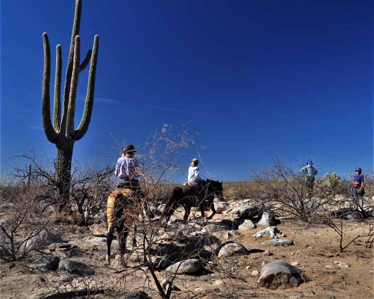 horse riders